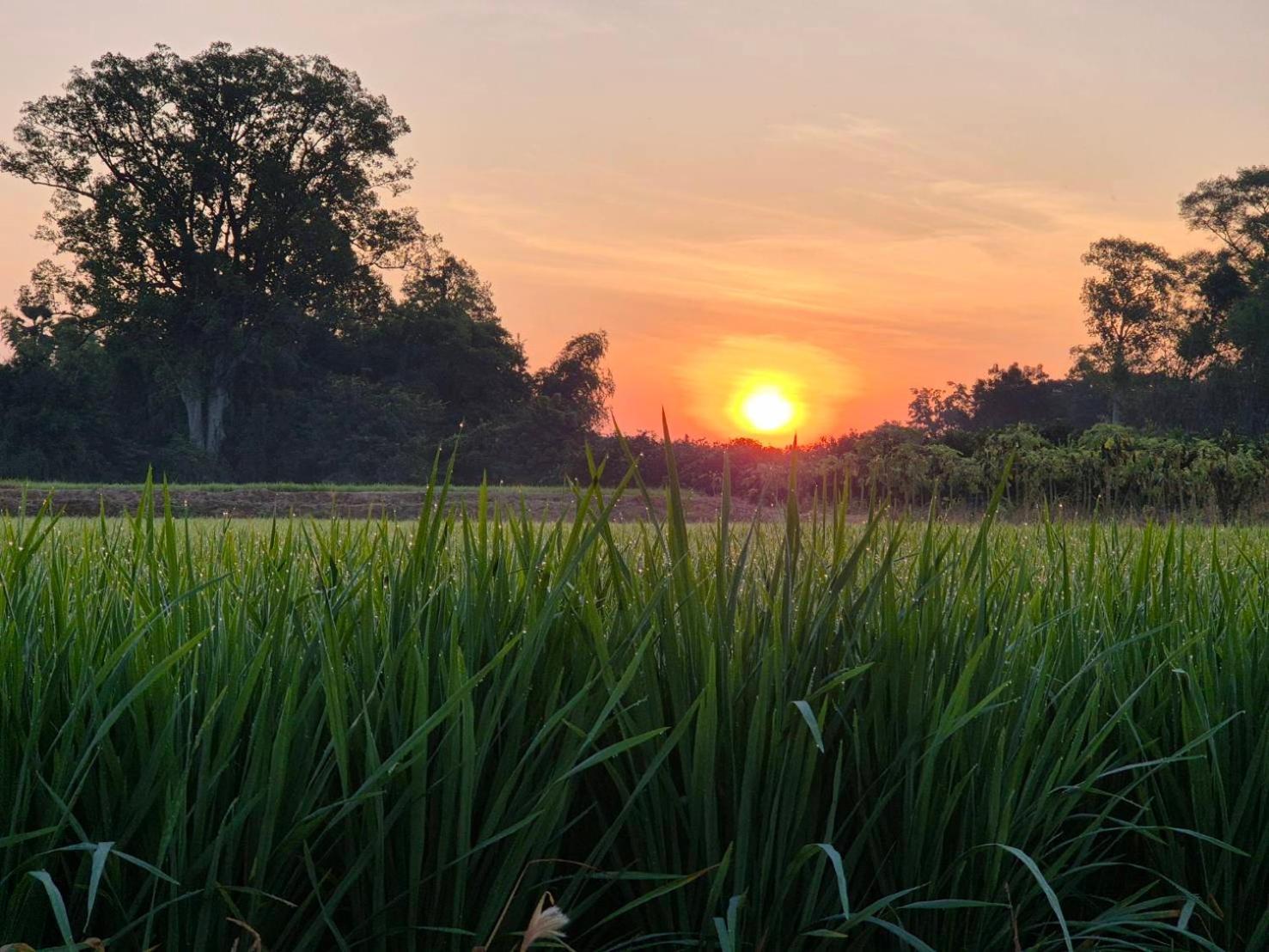 บ้านแม่อุทัยธานี Baanmae Uthaithani Екстериор снимка